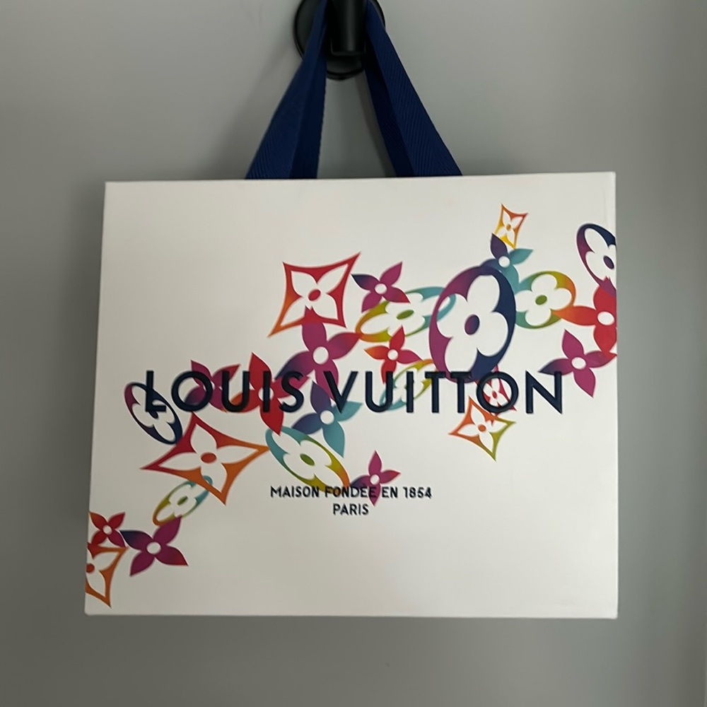 Louis Vuitton bag, Paris